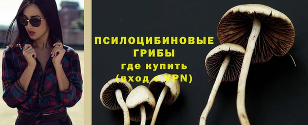 винт Алексеевка