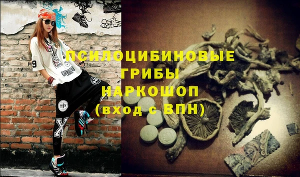 бутират Алексин