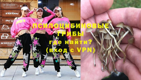 бутират Алексин